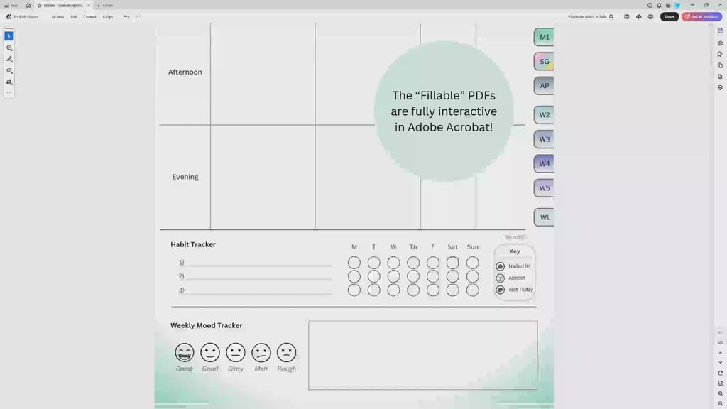 Fillable Digital Planner for Laptops & Desktops (Adobe Acrobat)