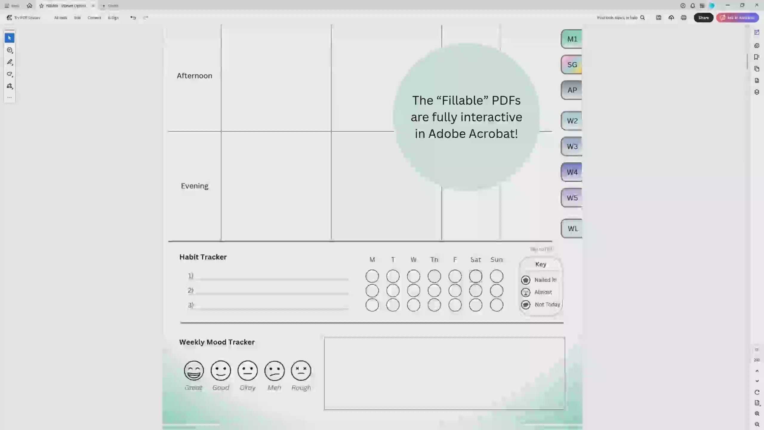 Fillable Digital Planner for Laptops & Desktops (Adobe Acrobat)